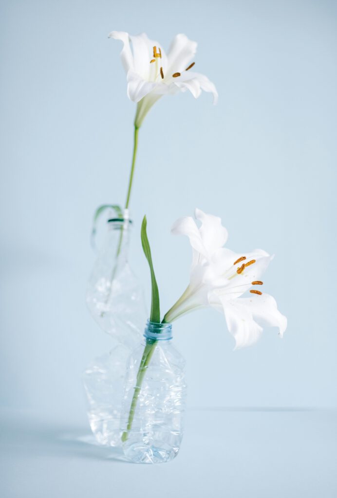 White lilies artfully arranged in recycled plastic bottles against a soft blue background.